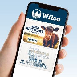 Virtual Gift Cards