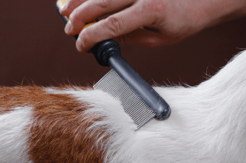 Brush Out