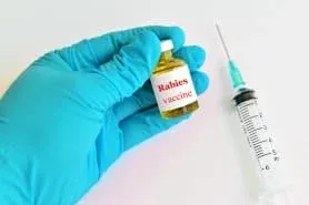 Rabies Vaccination Required
